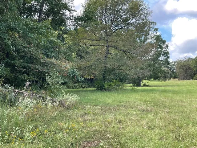 a view of outdoor space and yard