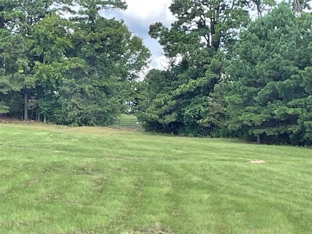 a view of a field with a tree