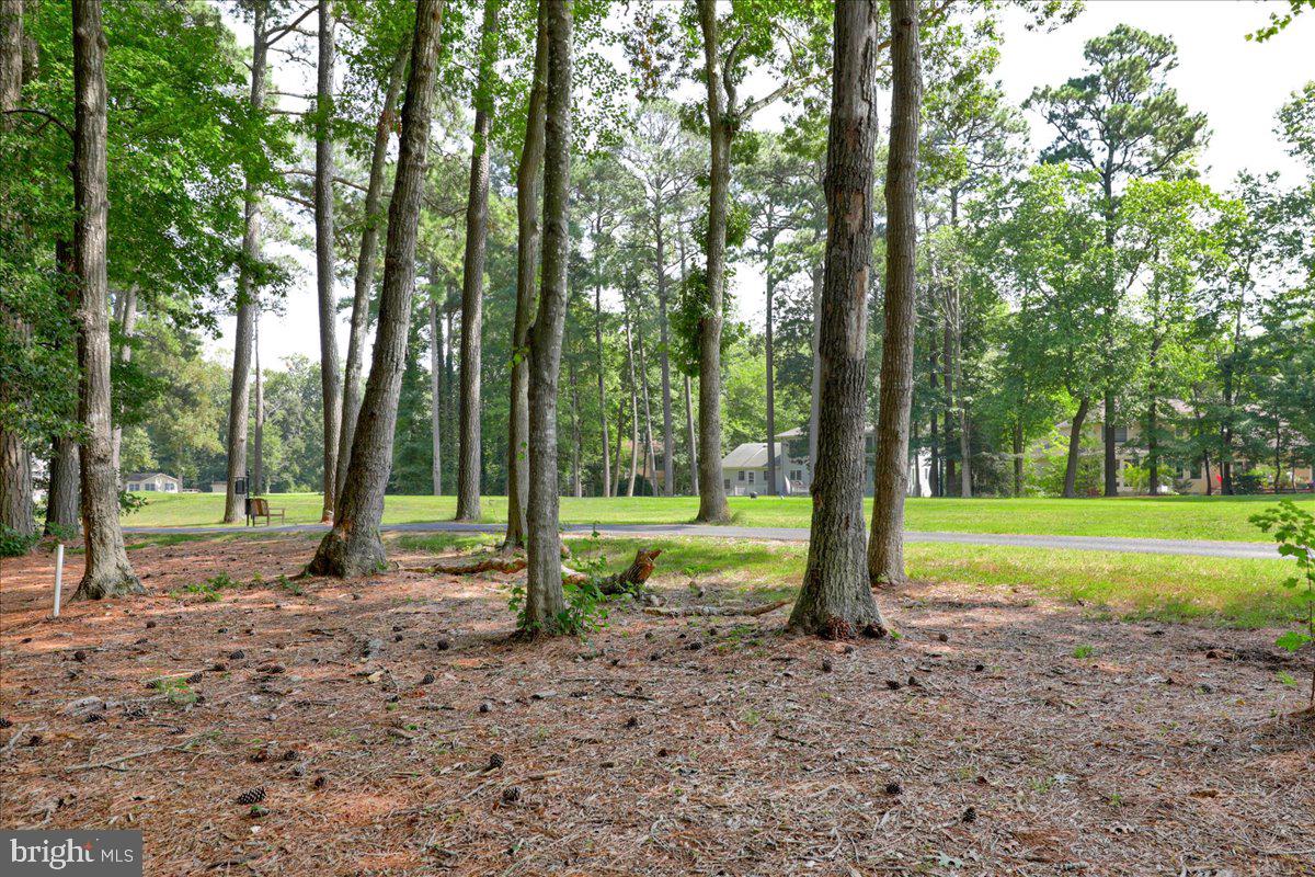 67 Windjammer Road Berlin, MD 21811 - Photo 45 of 52