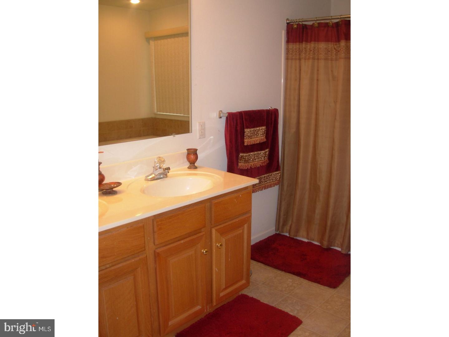 223 North Sandy Lane Sinking Spring, PA 19608 - Photo 13 of 25 Master Bathroom