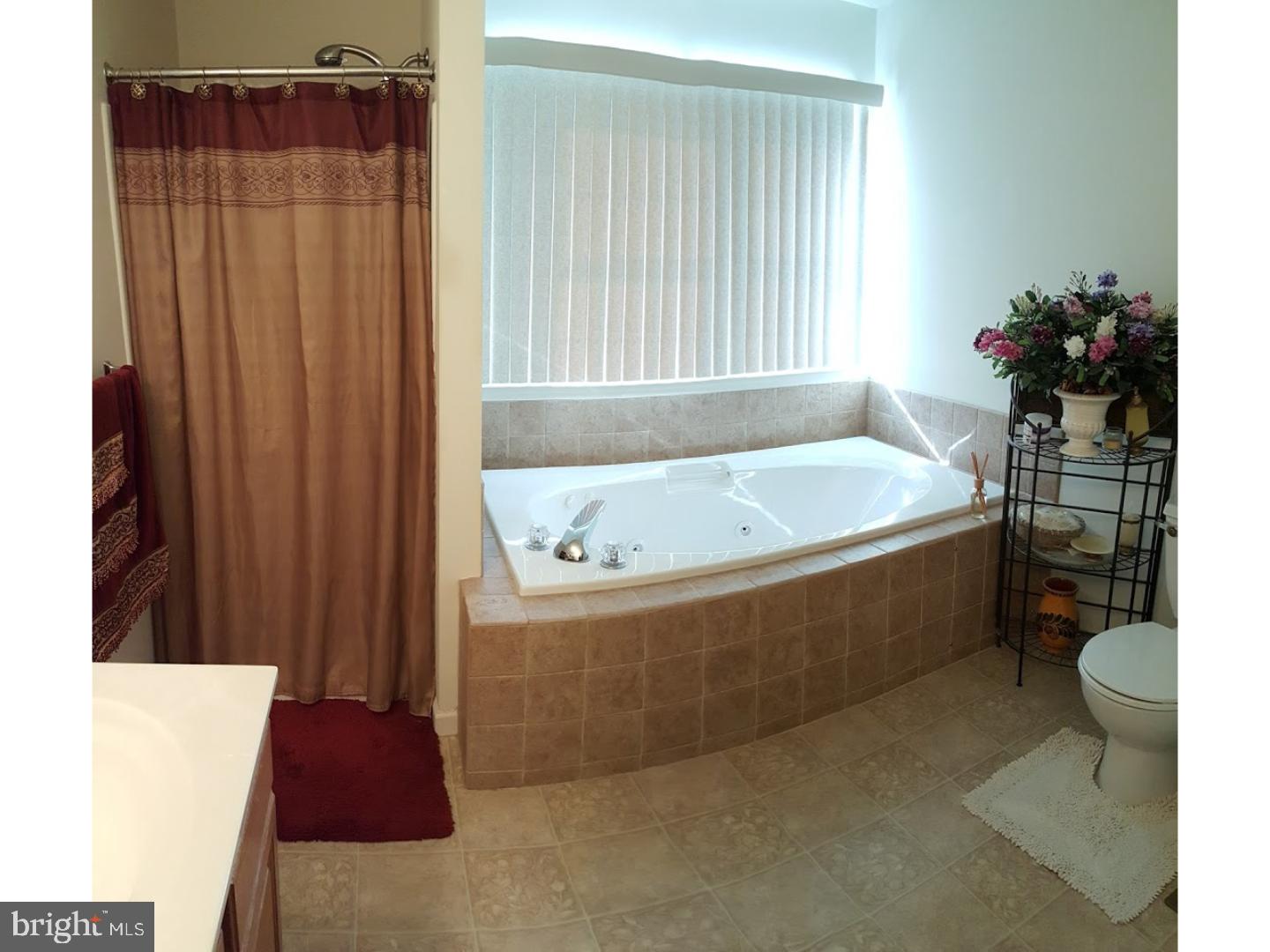 223 North Sandy Lane Sinking Spring, PA 19608 - Photo 14 of 25 Master Bathroom