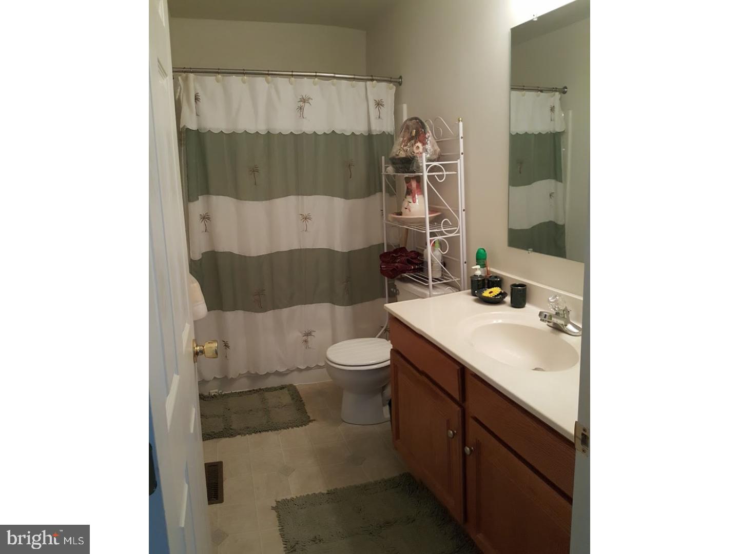 223 North Sandy Lane Sinking Spring, PA 19608 - Photo 17 of 25 Bathroom