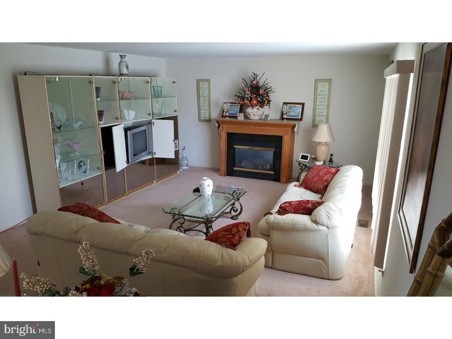 223 North Sandy Lane Sinking Spring, PA 19608 - Photo 4 of 25 Family Room