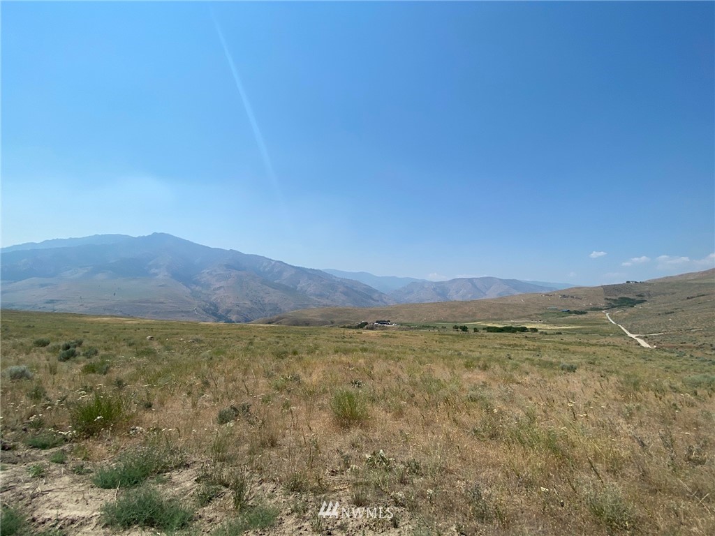 4 Buckhorn Mountain Road Pateros, WA 98846 - Photo 3 of 22 Gallery Image 3