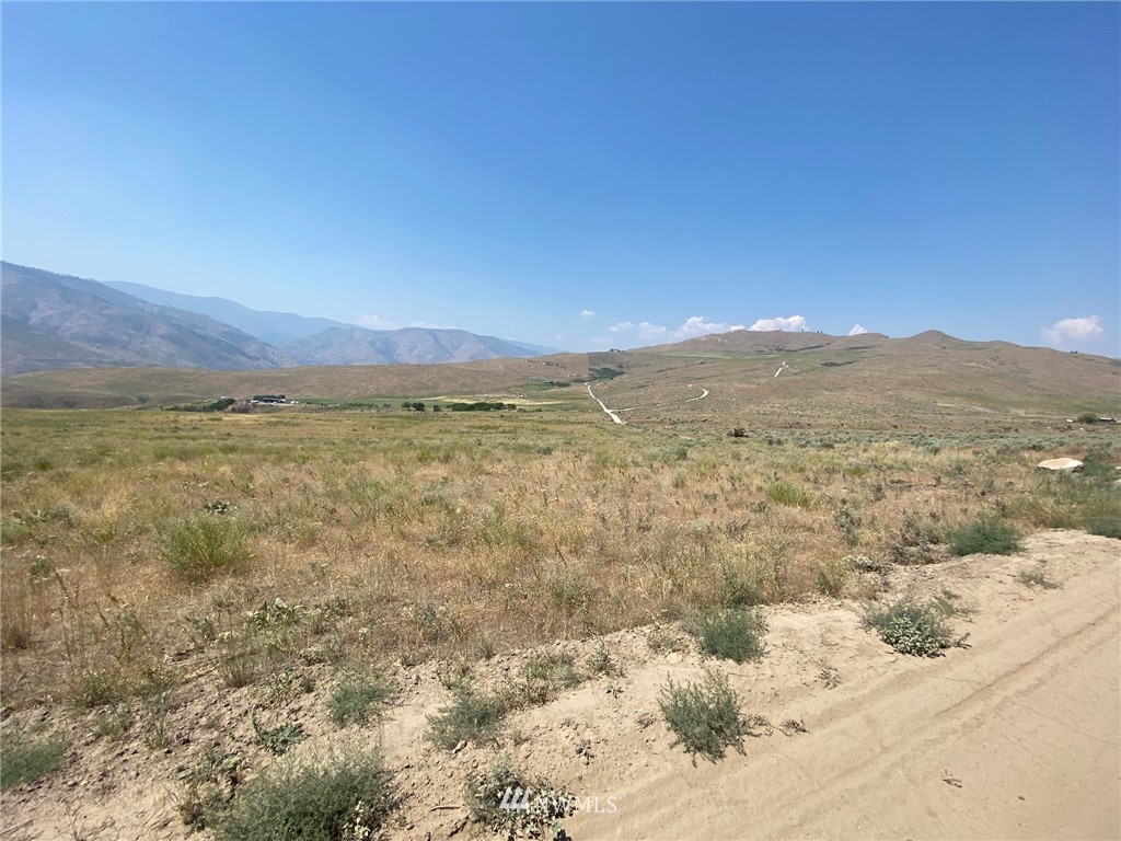 4 Buckhorn Mountain Road Pateros, WA 98846 - Photo 4 of 22 Gallery Image 4