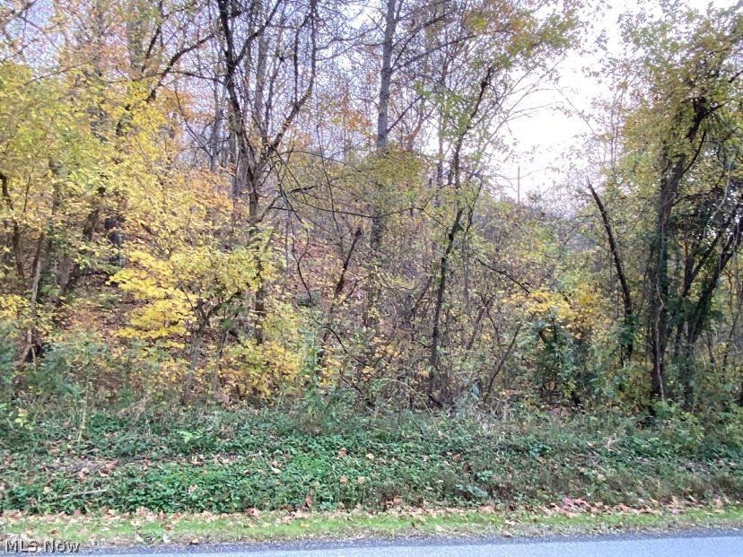 Muskingum River Road Lowell, OH 45744 - Photo 4 of 22