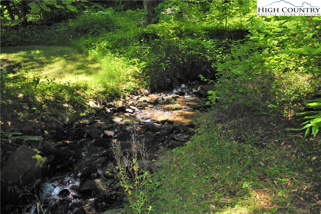 1 Ray Brown Road Boone, NC 28607 - Photo 1 of 15 Gallery Image 1
