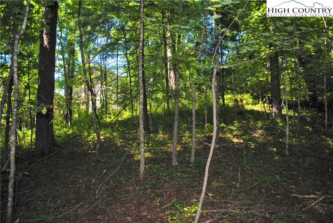 1 Ray Brown Road Boone, NC 28607 - Photo 12 of 15 Gallery Image 12
