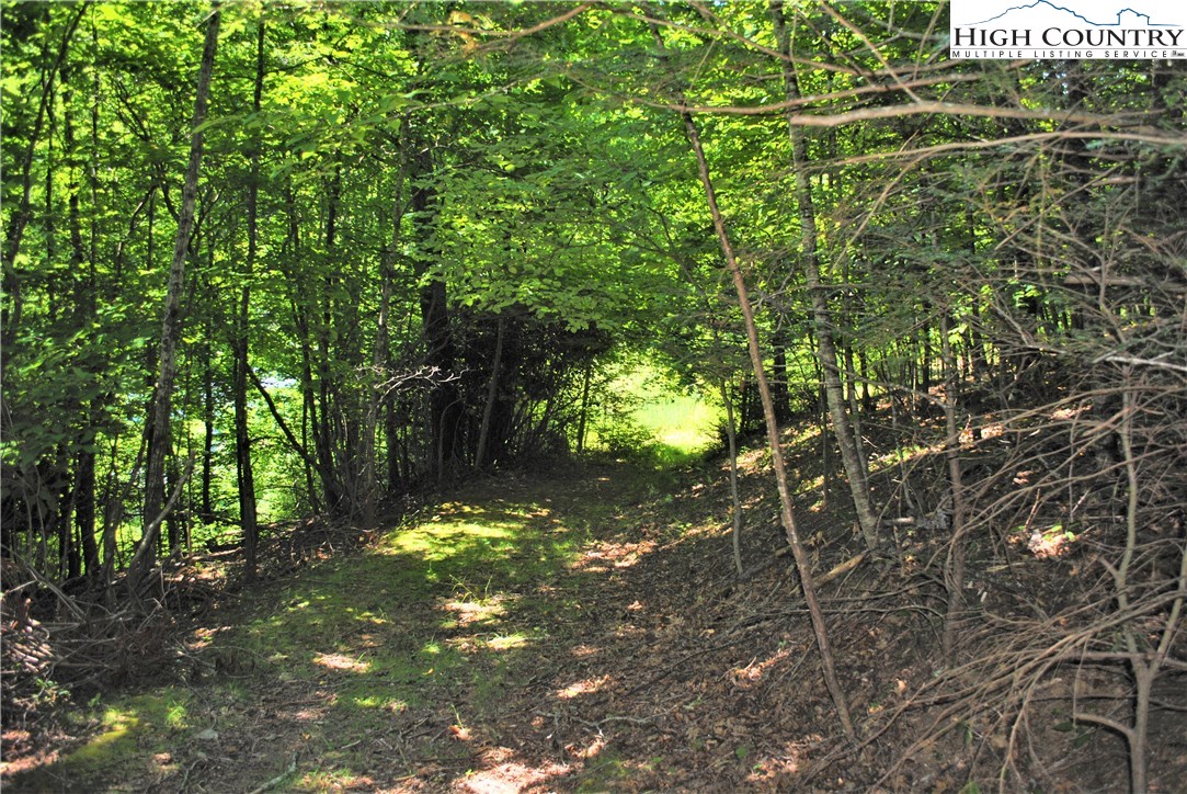 1 Ray Brown Road Boone, NC 28607 - Photo 13 of 15 Gallery Image 13