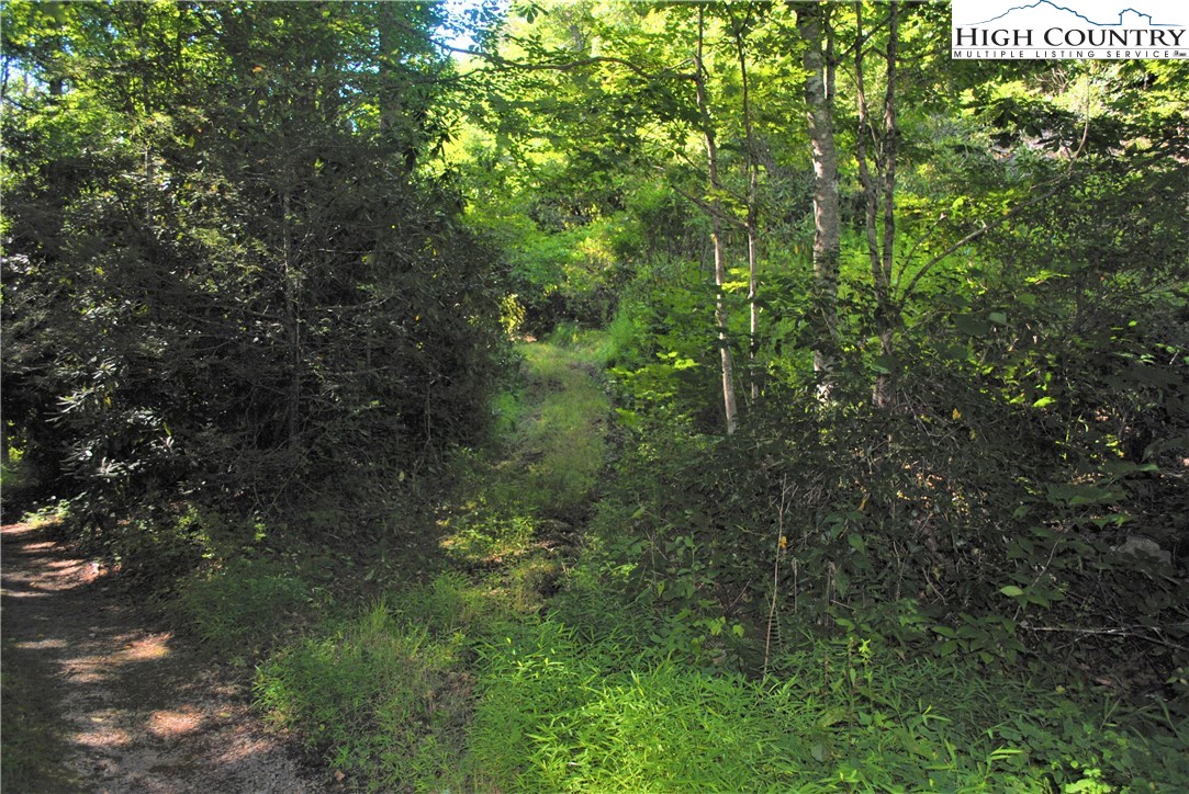 1 Ray Brown Road Boone, NC 28607 - Photo 15 of 15 Gallery Image 15