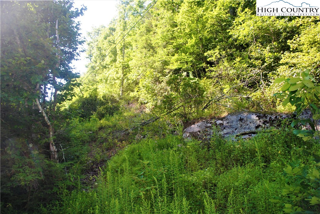 1 Ray Brown Road Boone, NC 28607 - Photo 2 of 15 Gallery Image 2