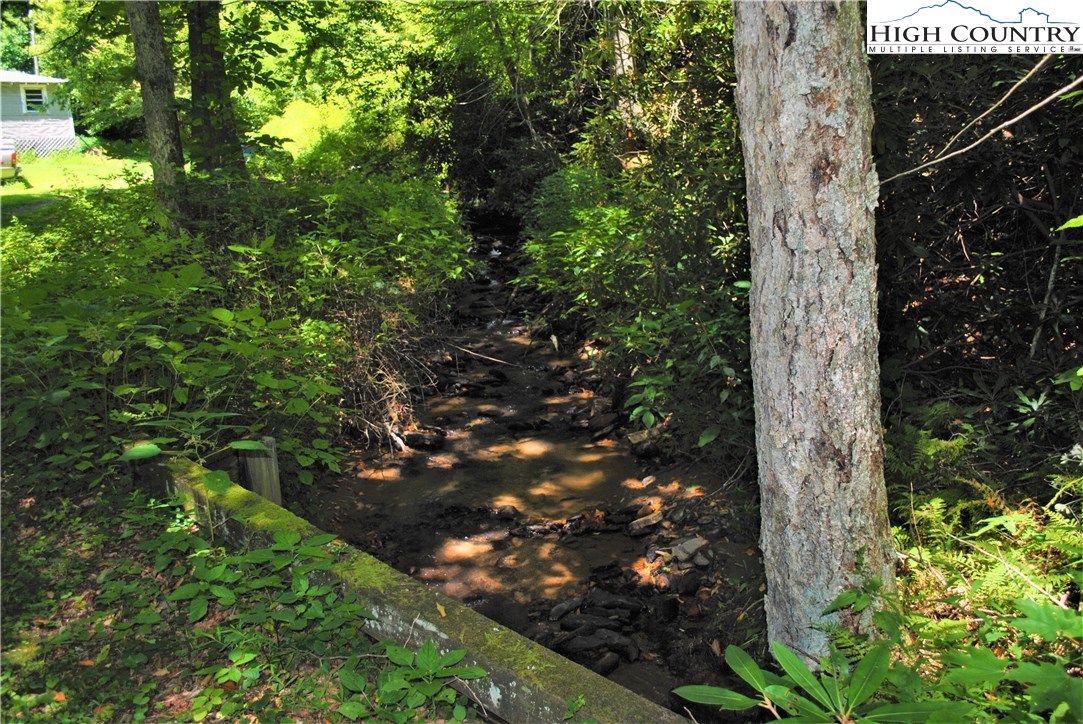 1 Ray Brown Road Boone, NC 28607 - Photo 5 of 15 Gallery Image 5