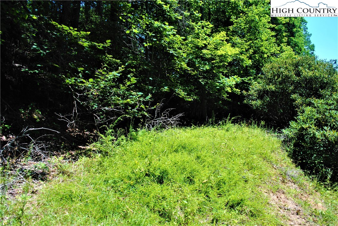 1 Ray Brown Road Boone, NC 28607 - Photo 6 of 15 Gallery Image 6
