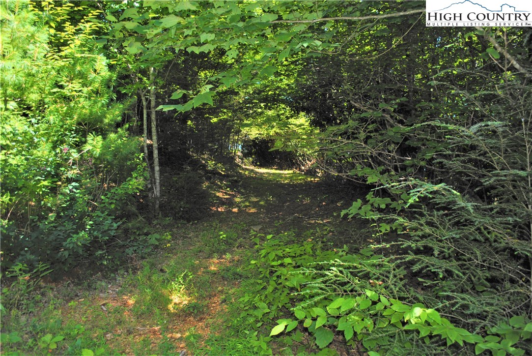 1 Ray Brown Road Boone, NC 28607 - Photo 7 of 15 Gallery Image 7