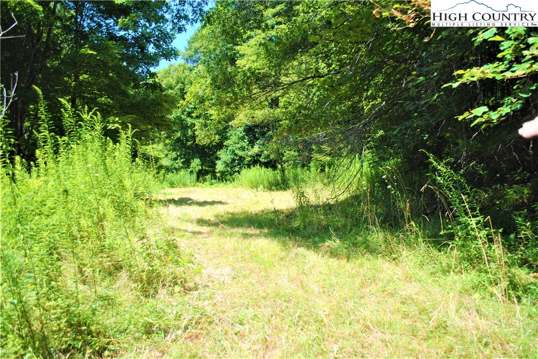 1 Ray Brown Road Boone, NC 28607 - Photo 8 of 15 Gallery Image 8