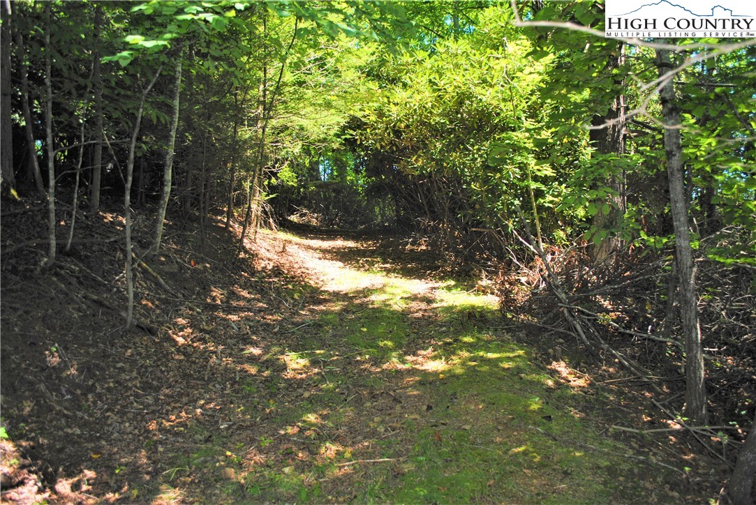 1 Ray Brown Road Boone, NC 28607 - Photo 10 of 15 Gallery Image 10