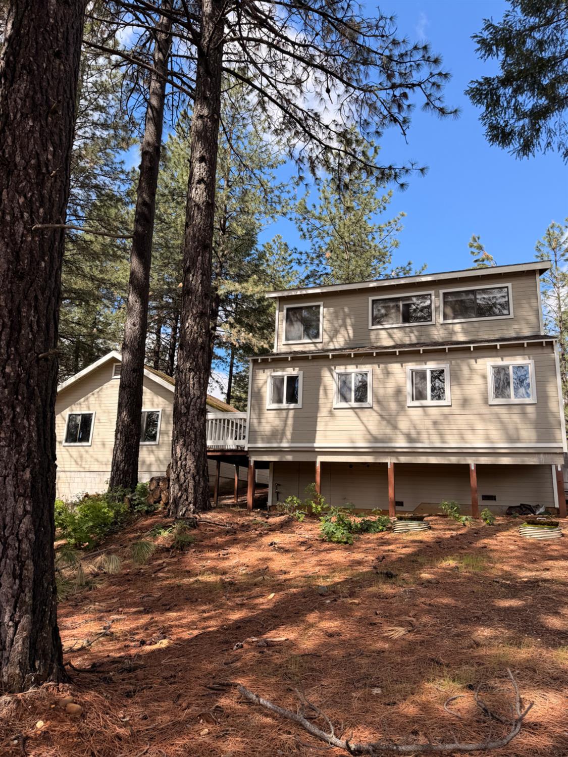 115 Main Street Gold Run, CA 95717 - Photo 14 of 73