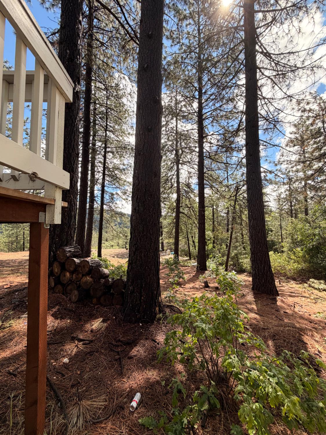 115 Main Street Gold Run, CA 95717 - Photo 17 of 73