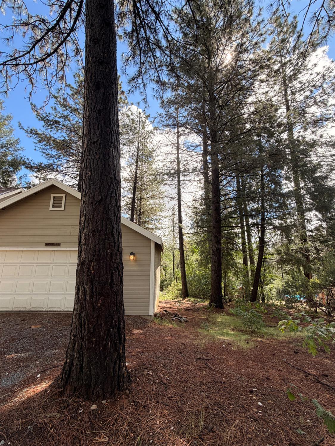 115 Main Street Gold Run, CA 95717 - Photo 20 of 73