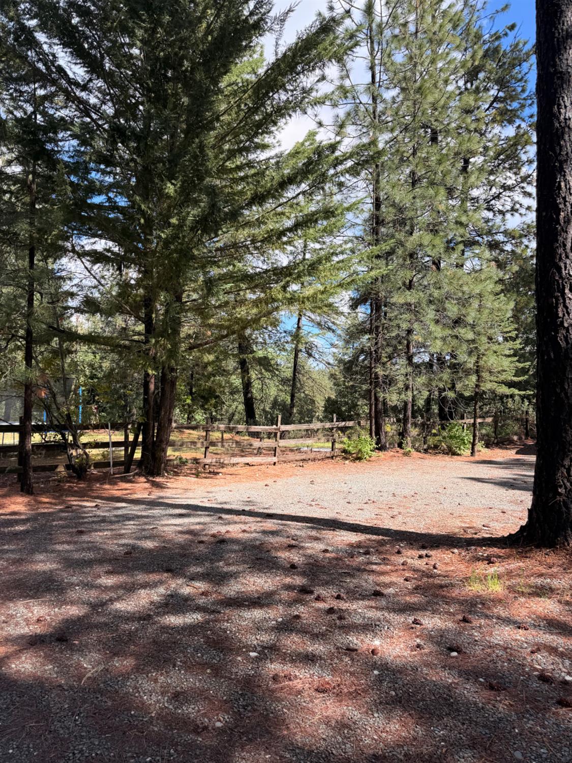 115 Main Street Gold Run, CA 95717 - Photo 3 of 73