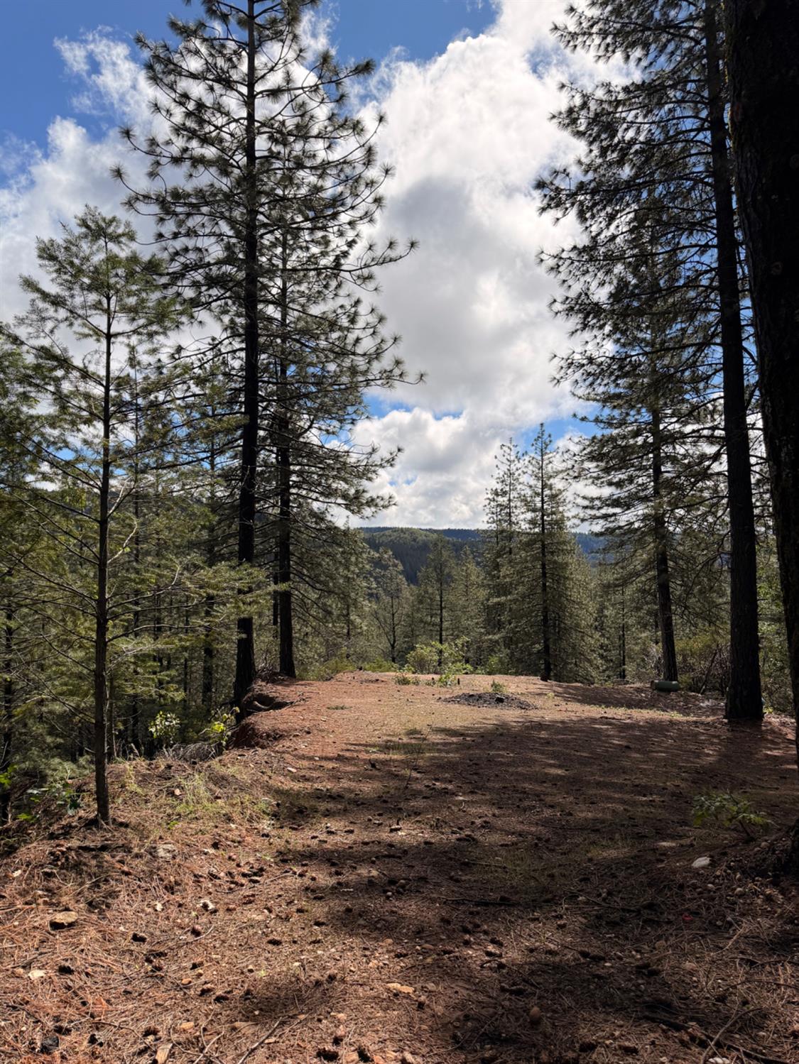 115 Main Street Gold Run, CA 95717 - Photo 10 of 73