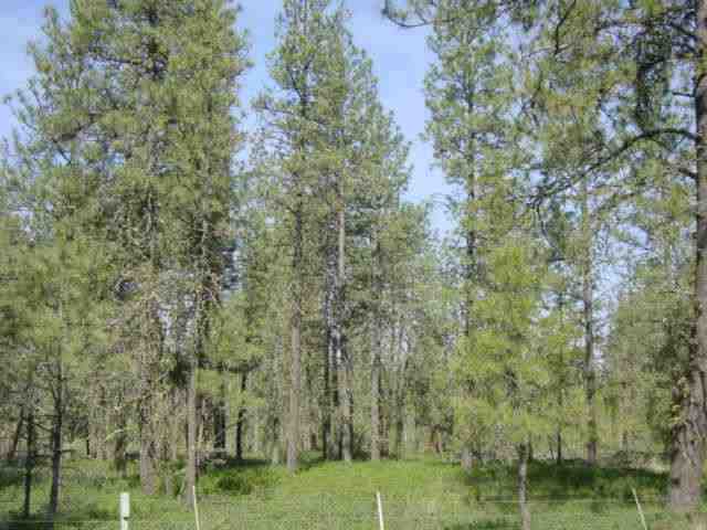 16402 South Curtis Road Cheney, WA 99004 - Photo 1 of 5