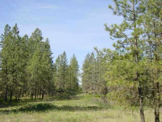 16402 South Curtis Road Cheney, WA 99004 - Photo 2 of 5