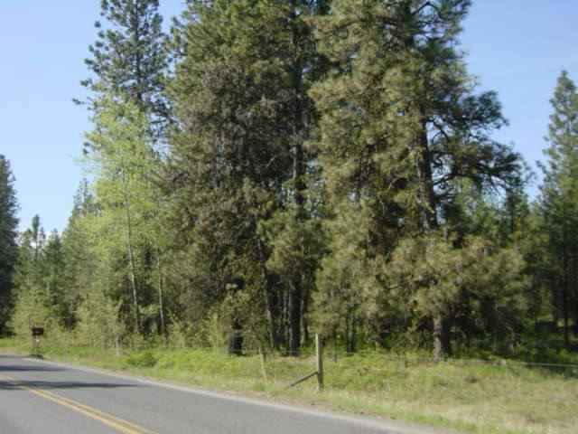 16402 South Curtis Road Cheney, WA 99004 - Photo 3 of 5