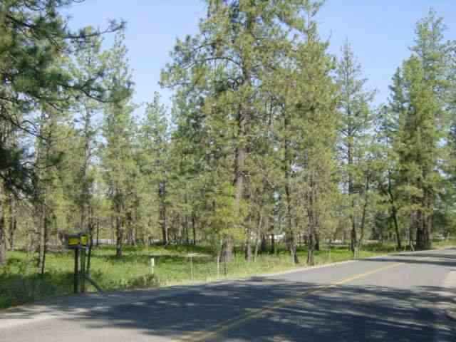 16402 South Curtis Road Cheney, WA 99004 - Photo 4 of 5