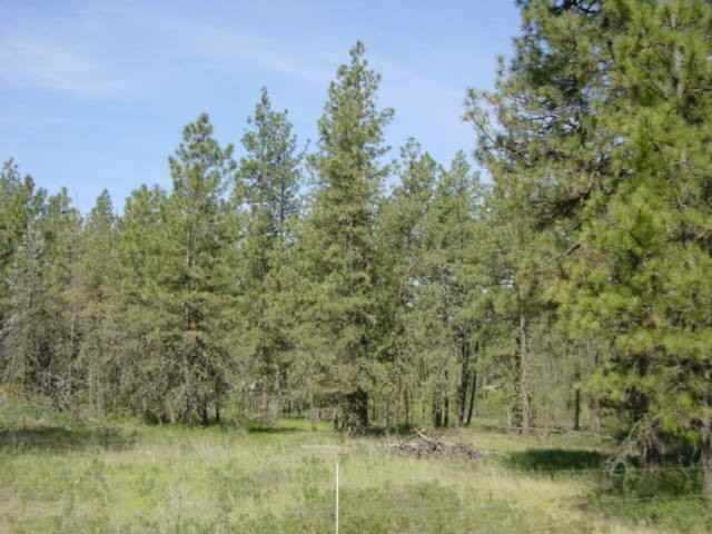 16402 South Curtis Road Cheney, WA 99004 - Photo 5 of 5