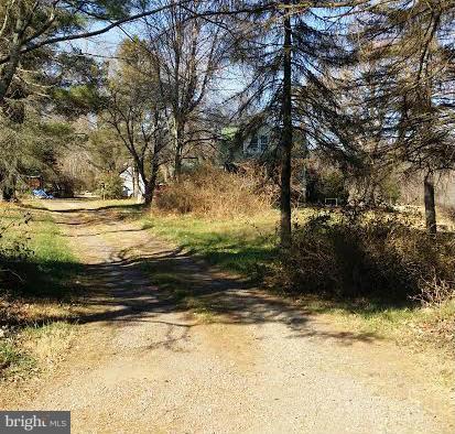 3255 Novum Road Reva, VA 22735 - Photo 11 of 12 View of driveway leading to home.
