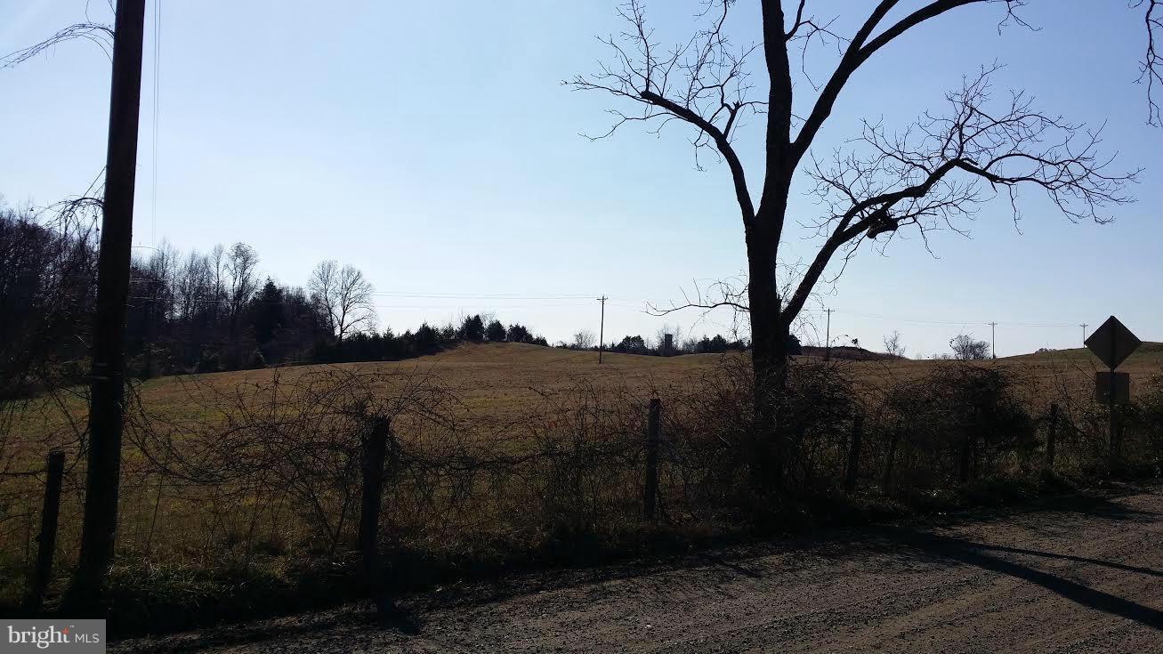 3255 Novum Road Reva, VA 22735 - Photo 12 of 12 View of land across from property.