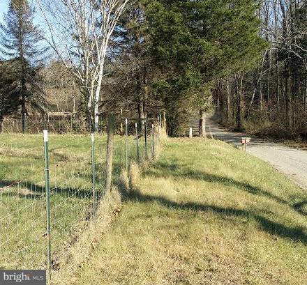 3255 Novum Road Reva, VA 22735 - Photo 8 of 12 view of property along road.