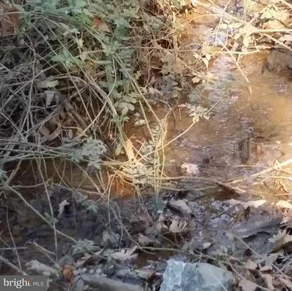 3255 Novum Road Reva, VA 22735 - Photo 10 of 12 View of stream on property.