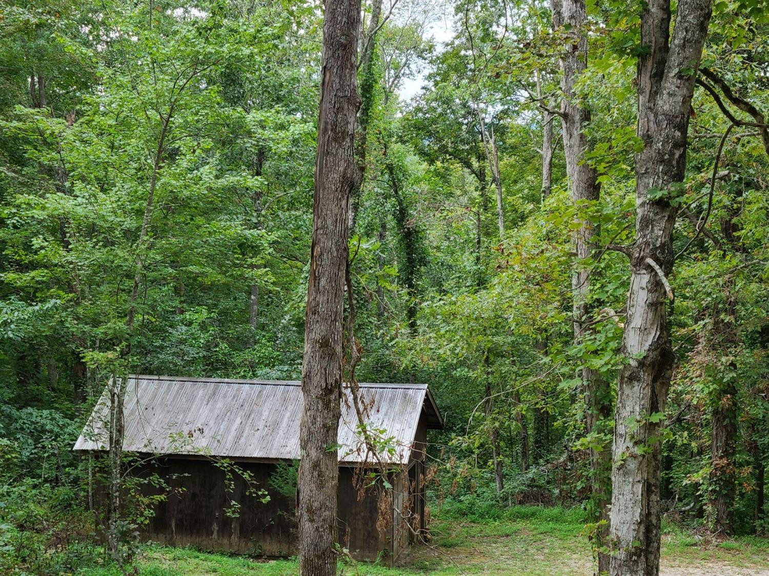 183 Albert Keith Road Whitley City, KY 42653 - Photo 5 of 82 Photo 5