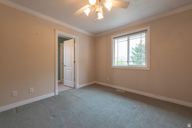 875 East 1300th Street North Mapleton, UT 84664 - Photo 34 of 65 Spare room featuring ceiling fan, light colored carpet, crown molding, and a textured ceiling