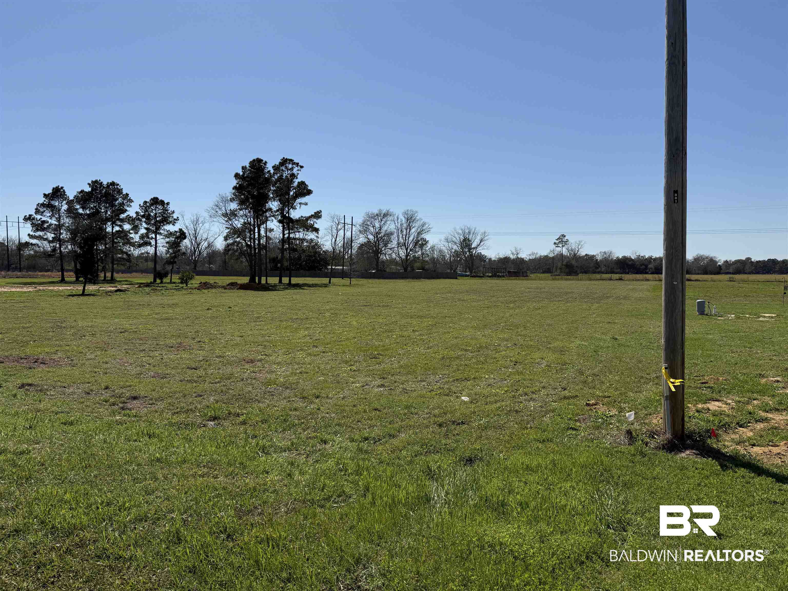 0 Gopher Court Elberta, AL 36530 - Photo 4 of 4