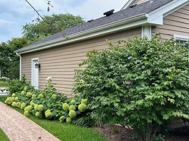 1253 West Illinois Avenue Palatine, IL 60067 - Photo 18 of 18 a house with a flower garden in front of it