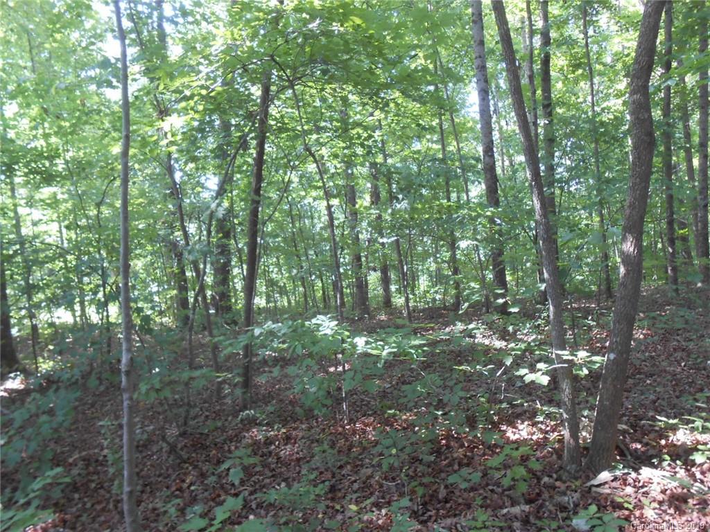 0 Goforth Road Marion, NC 28752 - Photo 4 of 8 Gallery Image 4