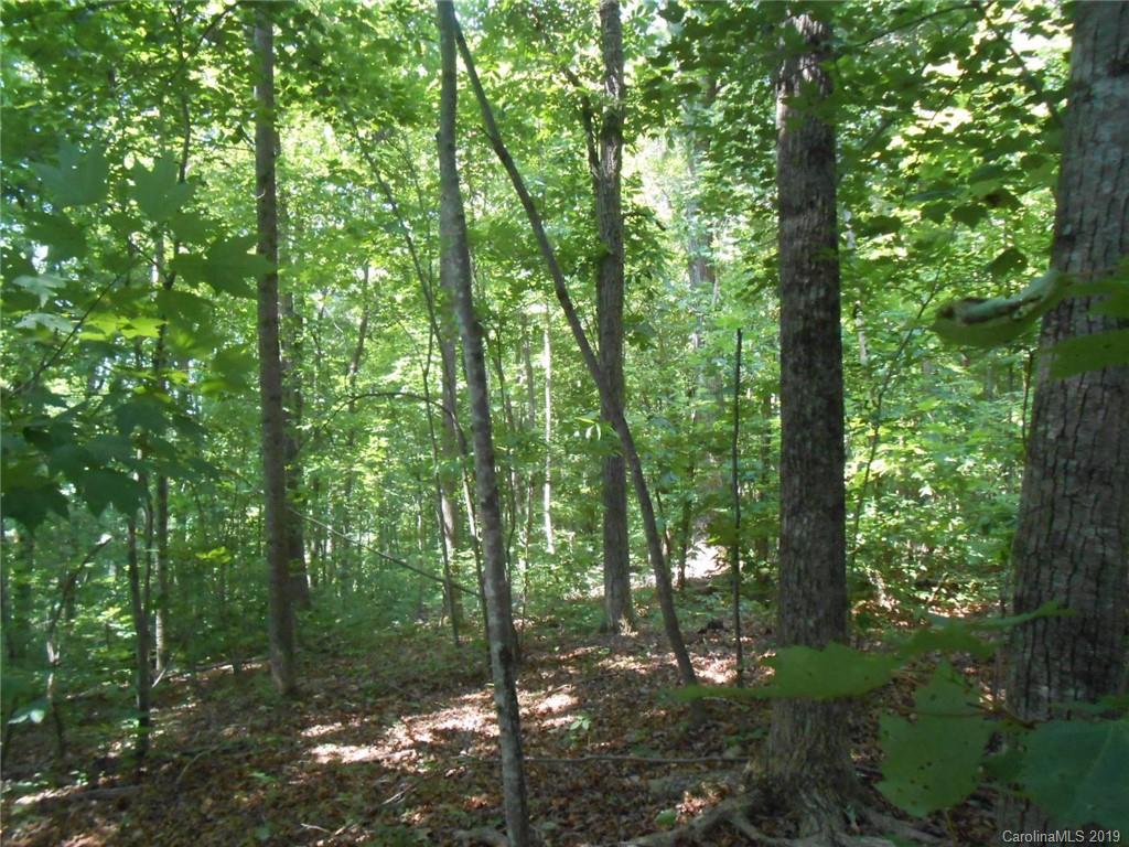 0 Goforth Road Marion, NC 28752 - Photo 5 of 8 Gallery Image 5