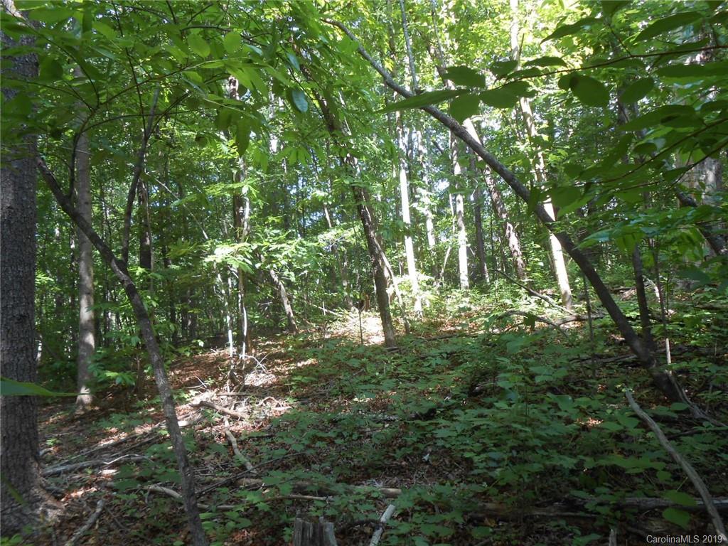 0 Goforth Road Marion, NC 28752 - Photo 6 of 8 Gallery Image 6