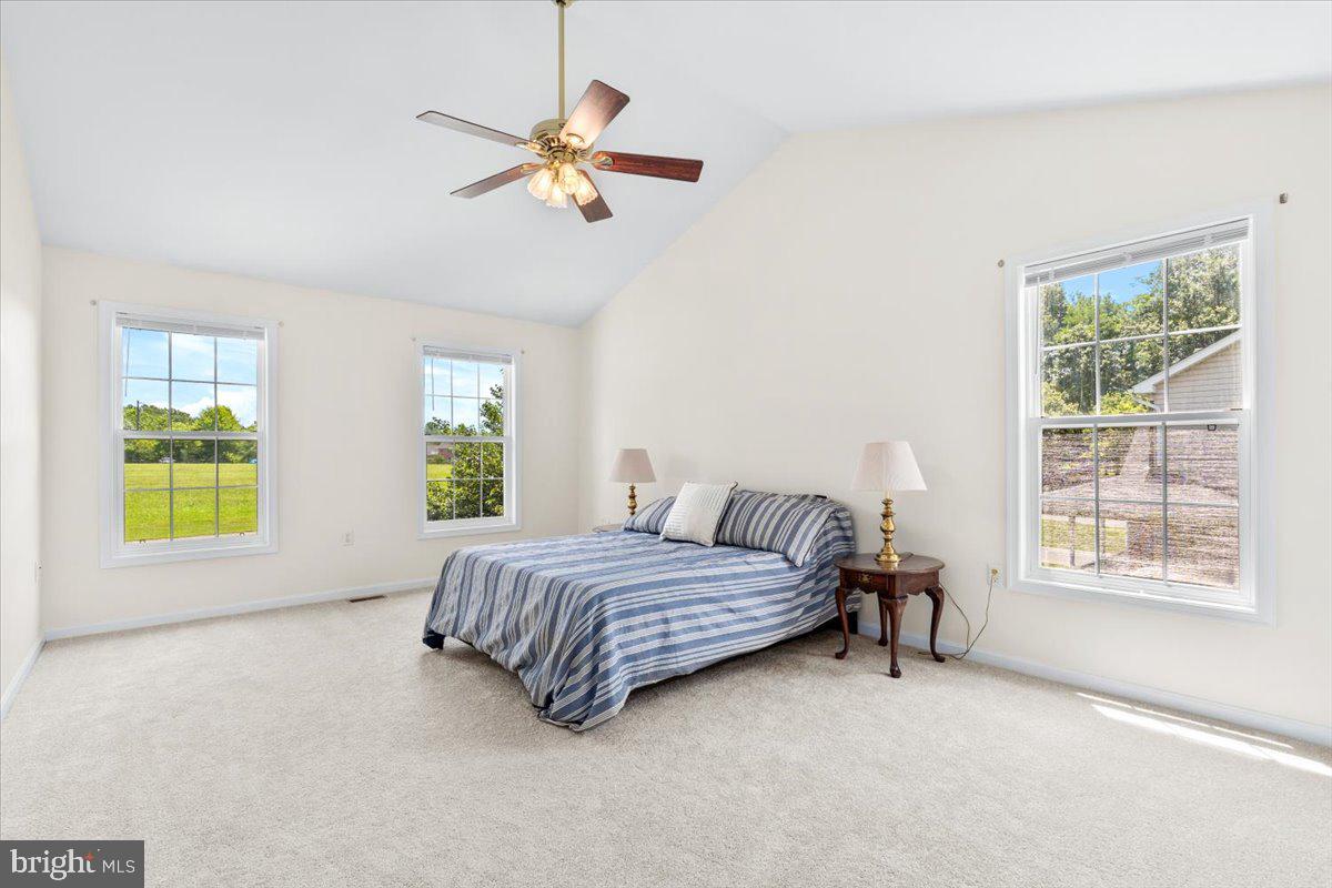 17258 Hardy Road Mount Airy, MD 21771 - Photo 32 of 63 Primary en-suite