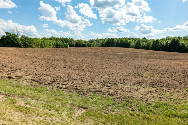 $1,000,000 | 36 Whitewood Tract, Granby, NY 13135