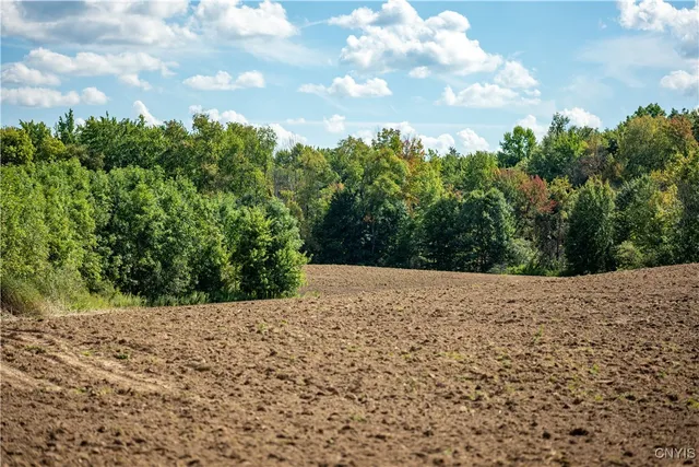 $1,000,000 | 36 Whitewood Tract, Granby, NY 13135