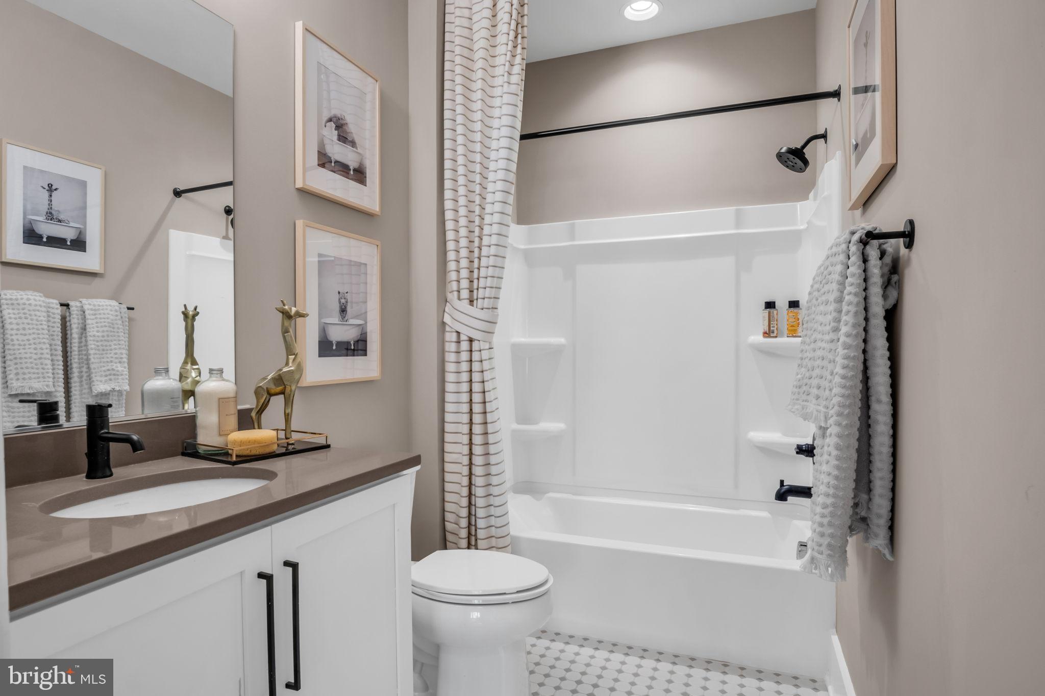 39 Reedgrass Way Gettysburg, PA 17325 - Photo 15 of 44 a bathroom with a sink a toilet and a bathtub