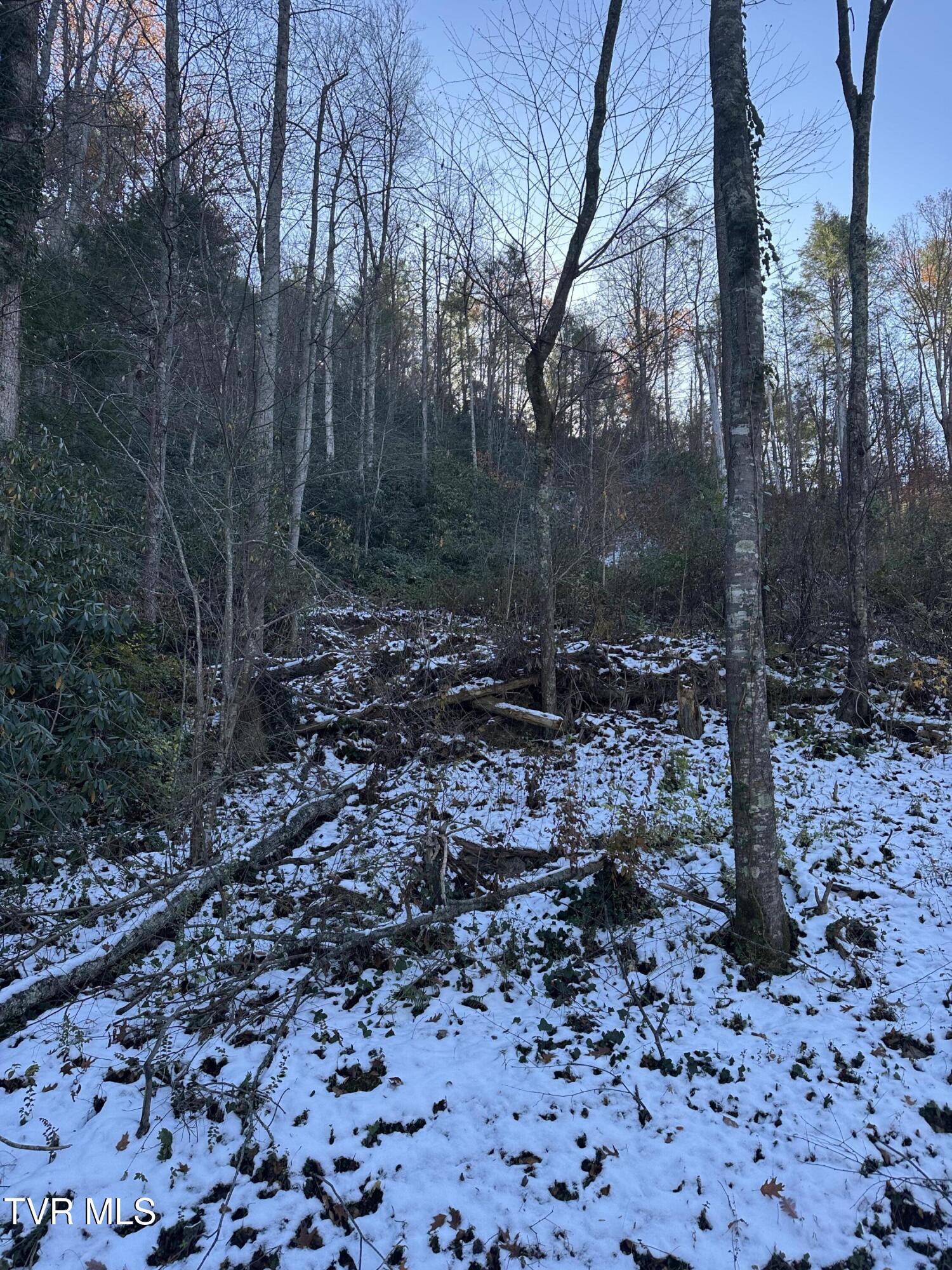 Tbd Old Hwy Road, Unit 2 Erwin, TN 37650 - Photo 2 of 3 IMG_1996