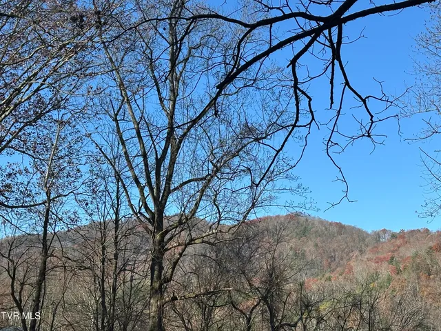 $66,000 | Tbd Old Hwy Road, Unit 2, Erwin, TN 37650