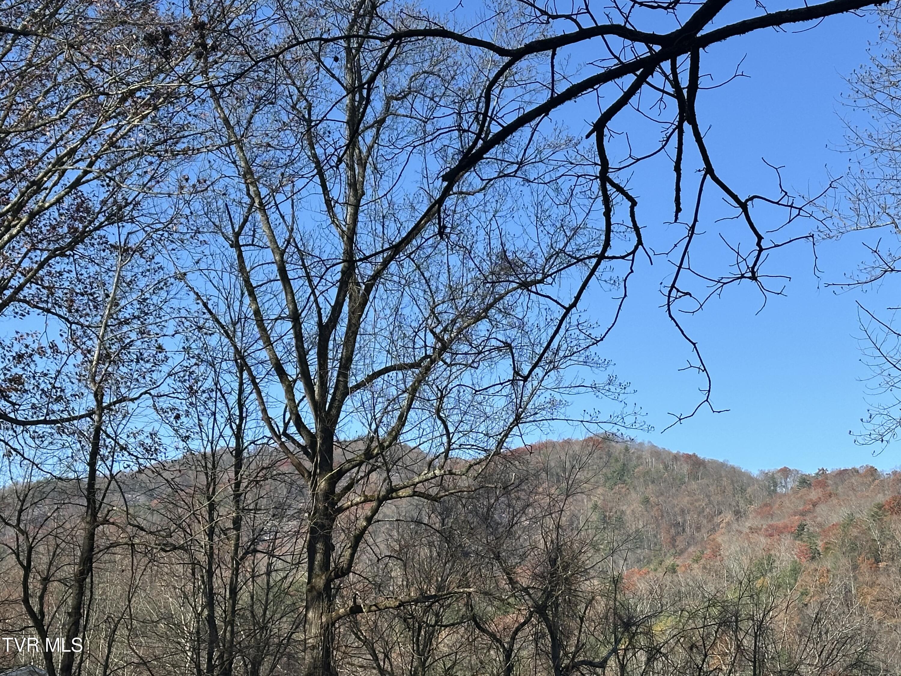 Tbd Old Hwy Road, Unit 2 Erwin, TN 37650 - Photo 3 of 3 IMG_1997