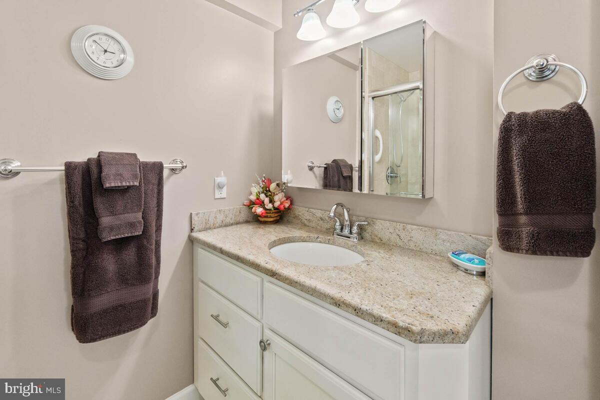 13132 Penn Shop Road Mount Airy, MD 21771 - Photo 19 of 50 Bath off In-law Suite