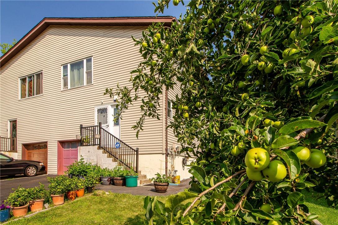 9 Albacon Road Nanuet, NY 10954 - Photo 1 of 1 Front Exterior with apple tree
